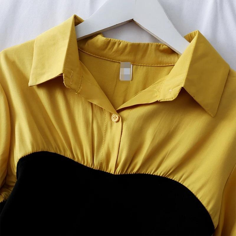 Panelled Lantern Sleeve Blouse
