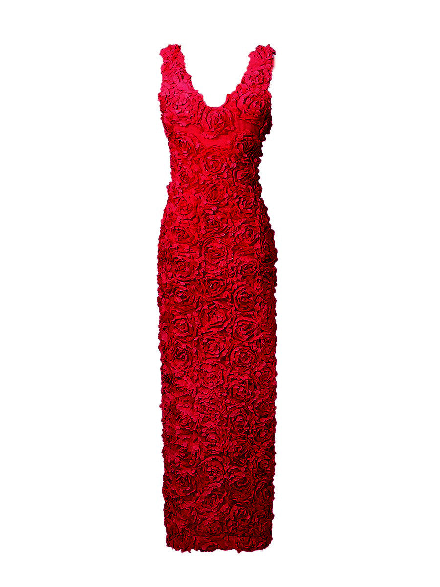 Cosmos Luxe 3D Floral Maxi Dress